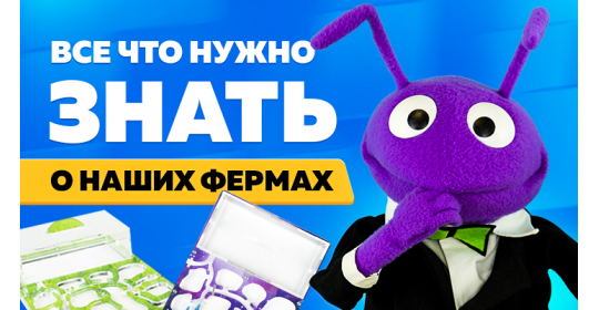 Все, что нужно знать о муравьиных фермах "Мистер Ант"