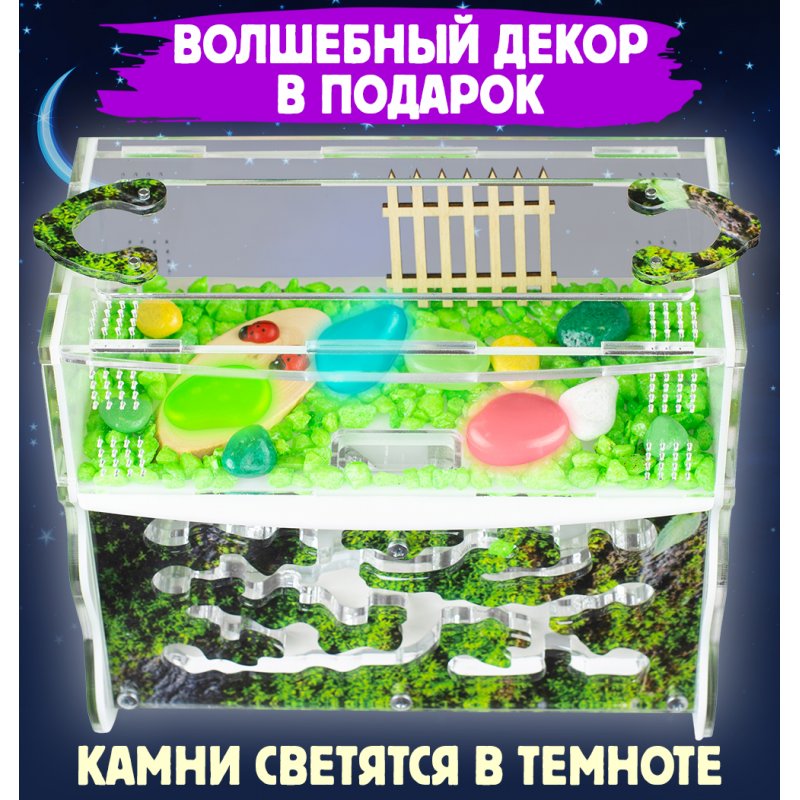 Вертикальный формикарий Вертикаль "Горный мох" Вертикальный формикарий Вертикаль "Горный мох"